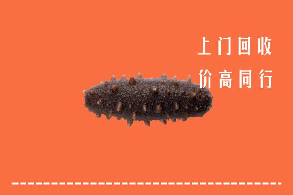 六枝特区回收海参